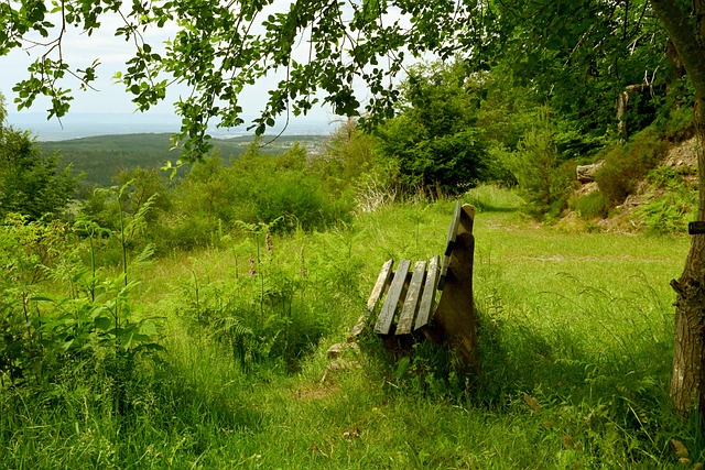 到如今季后 到如今季后