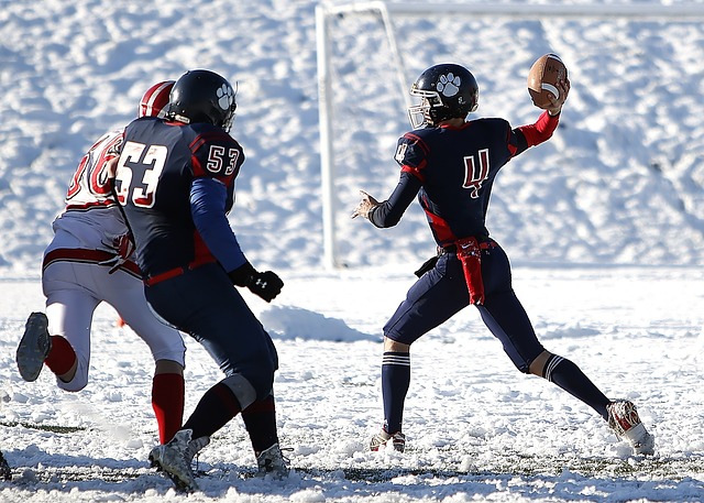 赛与世界杯 赛与世界杯
