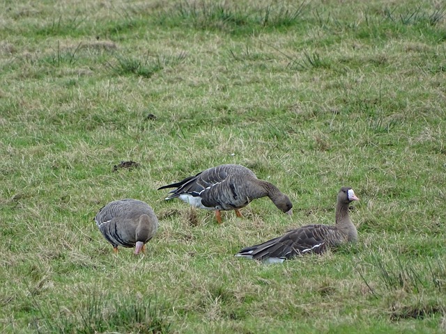 场下却可以 场下却可以