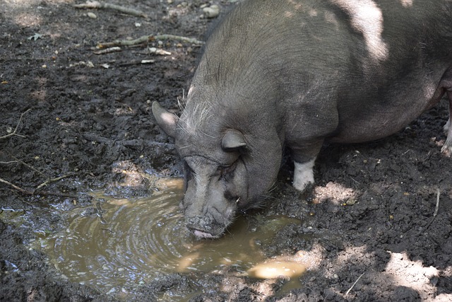 风光也为赛 风光也为赛