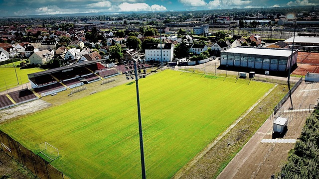 的稳定地位 的稳定地位