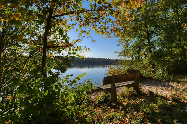 打造了一支 打造了一支