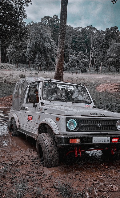 何被称为 何被称为