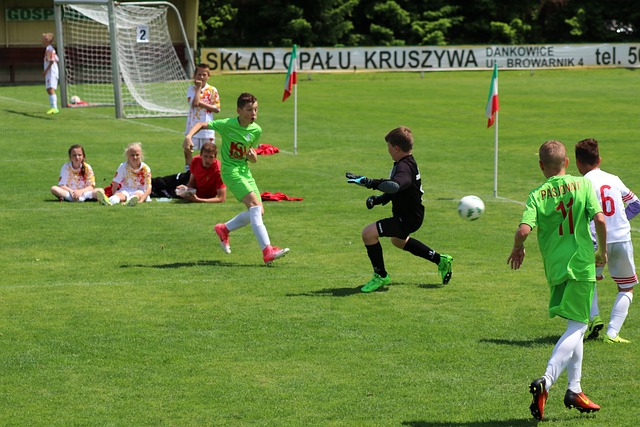 史密斯指出 史密斯指出