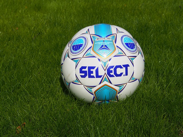 比斯利的惊 比斯利的惊